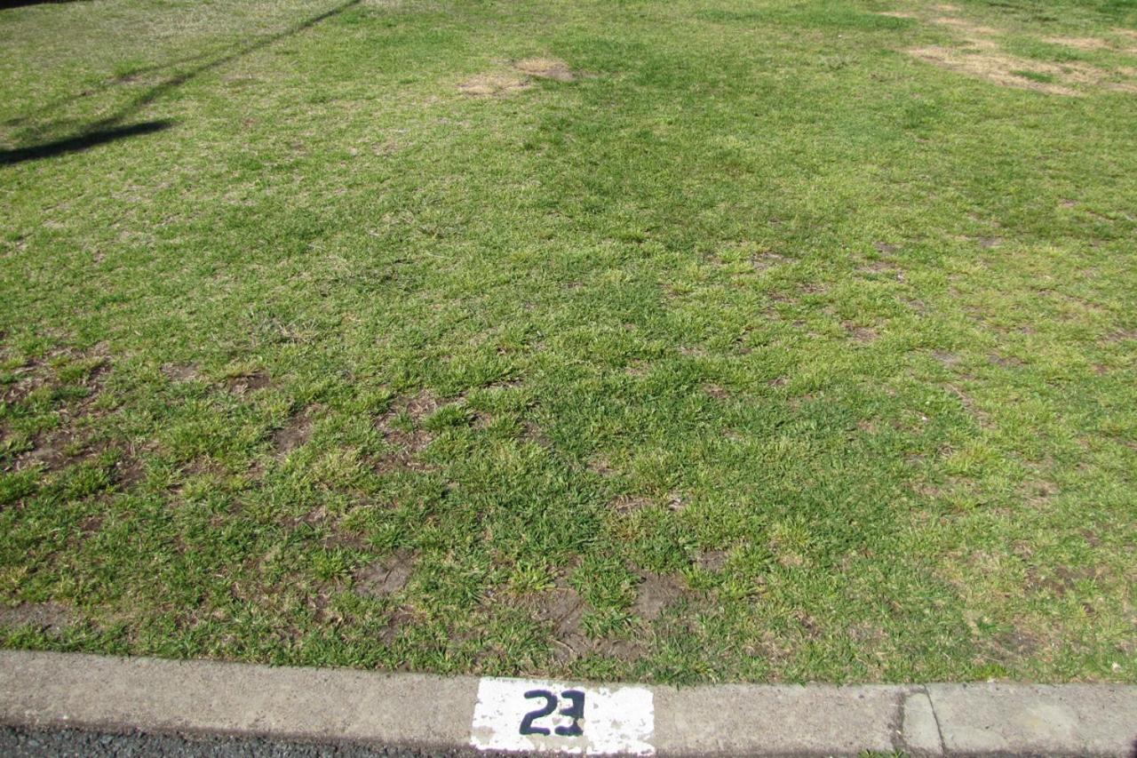 Clyde View Holiday Park Batemans Bay Zimmer foto